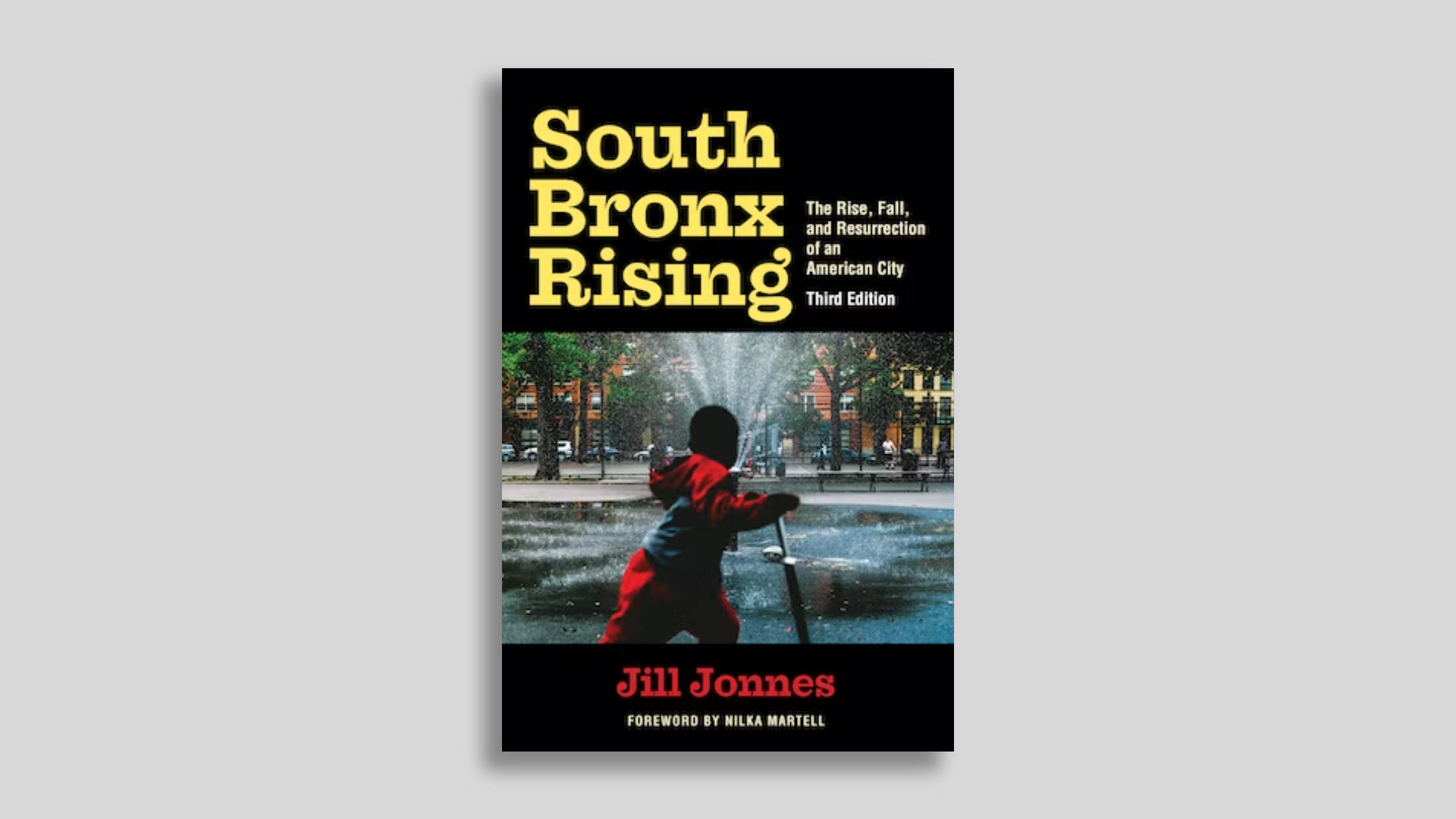 Cover of book, South Bronx Rising